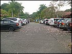 walkathon-03.JPG