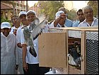 walkathon-107.JPG