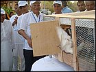 walkathon-109.JPG