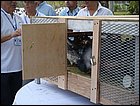 walkathon-110.JPG