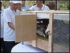 walkathon-111.JPG