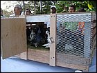 walkathon-112.JPG