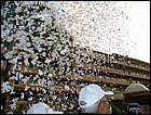 walkathon-115.JPG