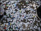 walkathon-117.JPG