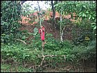 embera-07.JPG