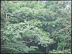 embera-15.JPG