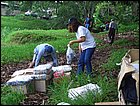 lagarterita-01.JPG