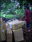 lagarterita-04.JPG