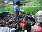 lagarterita-08.JPG