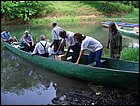lagarterita-15.JPG