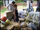 lagarterita-34.JPG