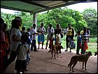 lagarterita-41.JPG