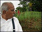 lagarterita-69.JPG