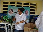 costaabajo-074.JPG