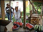 costaabajo-092.JPG