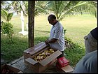 costaabajo-093.JPG
