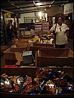costaabajo-116.JPG