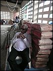 costaarriba-33.JPG