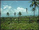 costaarriba-55.JPG