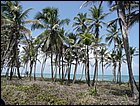 costaarriba-56.JPG