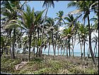 costaarriba-57.JPG