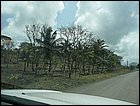 costaarriba-65.JPG