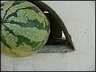 costaarriba-69.JPG