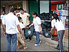 dsc05290.jpg