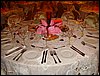 DSC04532.JPG