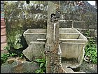 DSC04615.JPG