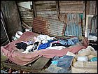 DSC04620.JPG