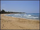 DSC01614.JPG