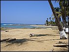 DSC01615.JPG