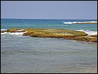DSC01617.JPG