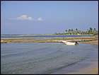 DSC01638.JPG