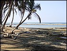 DSC01639.JPG