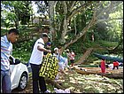 DSC00603.JPG
