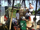 DSC04336.JPG