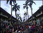 DSC04454.JPG