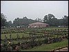 bsc-025.JPG