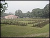 bsc-028.JPG