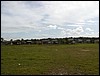 goodfriday03-30.JPG