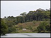 goodfriday03-49.JPG
