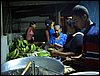 mcampcuipo05-097.JPG