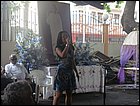 dsc06442.jpg