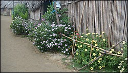 DSC03933.JPG