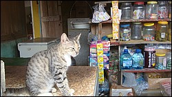 DSC03957.JPG